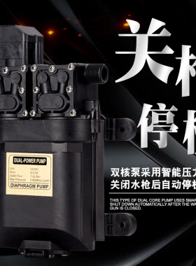 12伏智能压力开关12V关枪停机喷雾器洗车浇花果园苗圃撒药双水泵