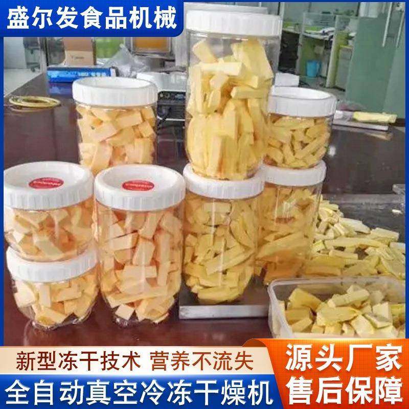 全自动真空冻干机 小鱼干猫粮狗粮冻干设备 鹌鹑整鸡真空冷冻设备,淘宝优惠券,粉丝福利购,淘宝优惠卷