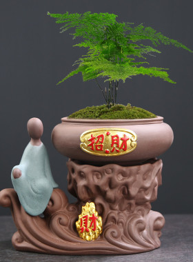 懒人花盆自动吸水陶瓷器皿家用盆栽绿萝蝴蝶兰专用兰花文竹盆大号