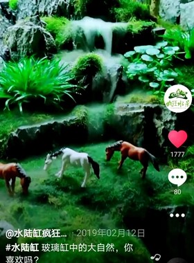 水陆缸材料超市造景雾化器雾化仓青龙石松皮石轻石水苔赤玉土