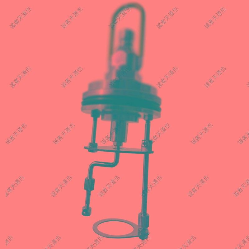 氧弹电极坩埚量热仪氧弹配件点火氧弹坩埚支架热量仪金属棒电极,淘宝优惠券,粉丝福利购,淘宝优惠卷