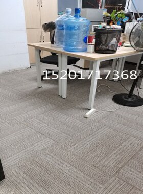办公室地毯满铺商用加厚方块拼接50x50cm房间卧室耐脏耐磨地毯