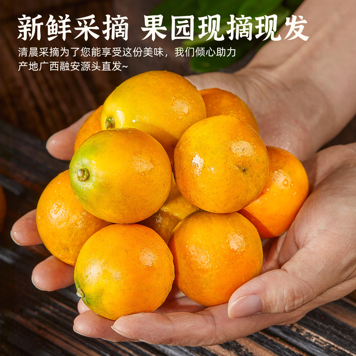 正宗 脆蜜金柑 广西融安脆蜜金桔第三代应季新鲜水果独立包装顺丰