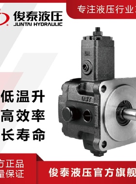 广东俊泰VP-SF-40低压变量叶片泵油压电动机用电动液压泵浦