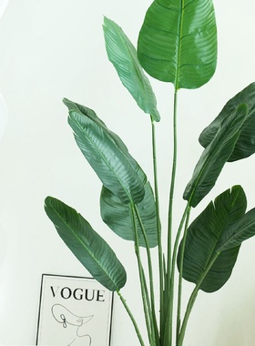 北欧风仿真绿植旅人蕉盆栽室内家居装饰摆件假树美人蕉天堂鸟植物