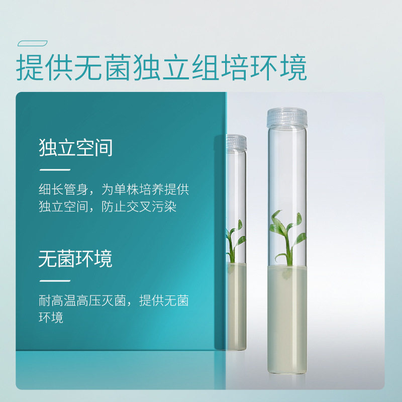 湘玻高硼硅玻璃组培试管耐高温带透气盖组培瓶组织培养管菌种瓶,淘宝优惠券,粉丝福利购,淘宝优惠卷