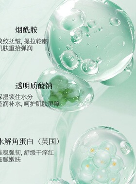 新品4.0水兮菩提洗面奶氨基酸