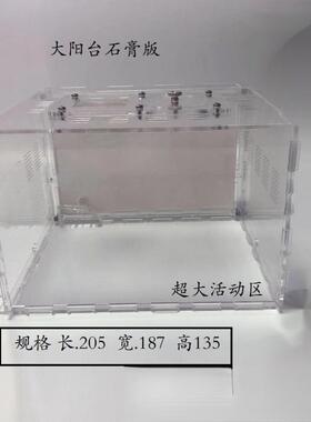 石膏蚁巢巢生亚克力城堡试管宠物生日特硬蚁巢宠物混凝土散装长宽