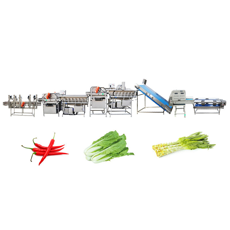 全自动净菜加工清洗线叶菜根茎菜水果海鲜涡流清洗机中央厨房设备,淘宝优惠券,粉丝福利购,淘宝优惠卷