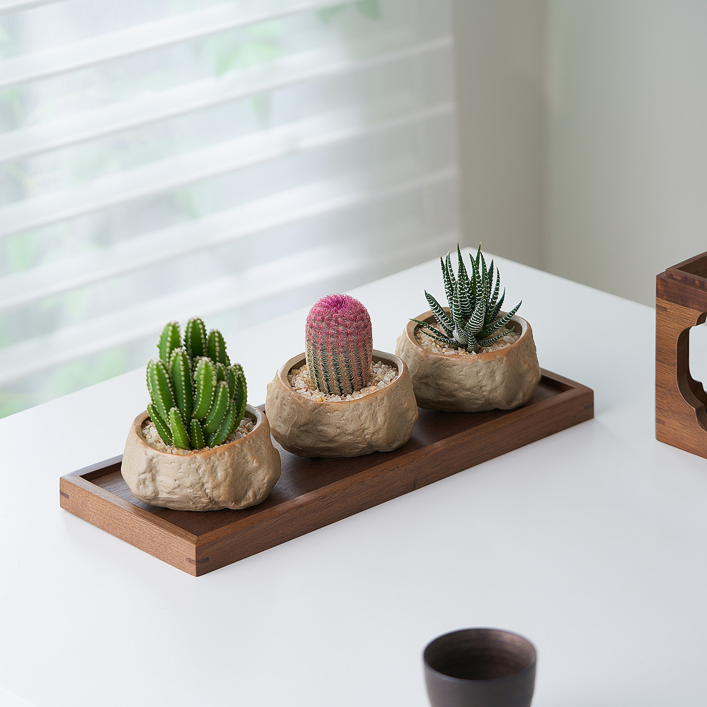 多肉植物组合盆栽北欧风仙人掌室内客厅美观摆件办公室书桌面懒人,淘宝优惠券,粉丝福利购,淘宝优惠卷