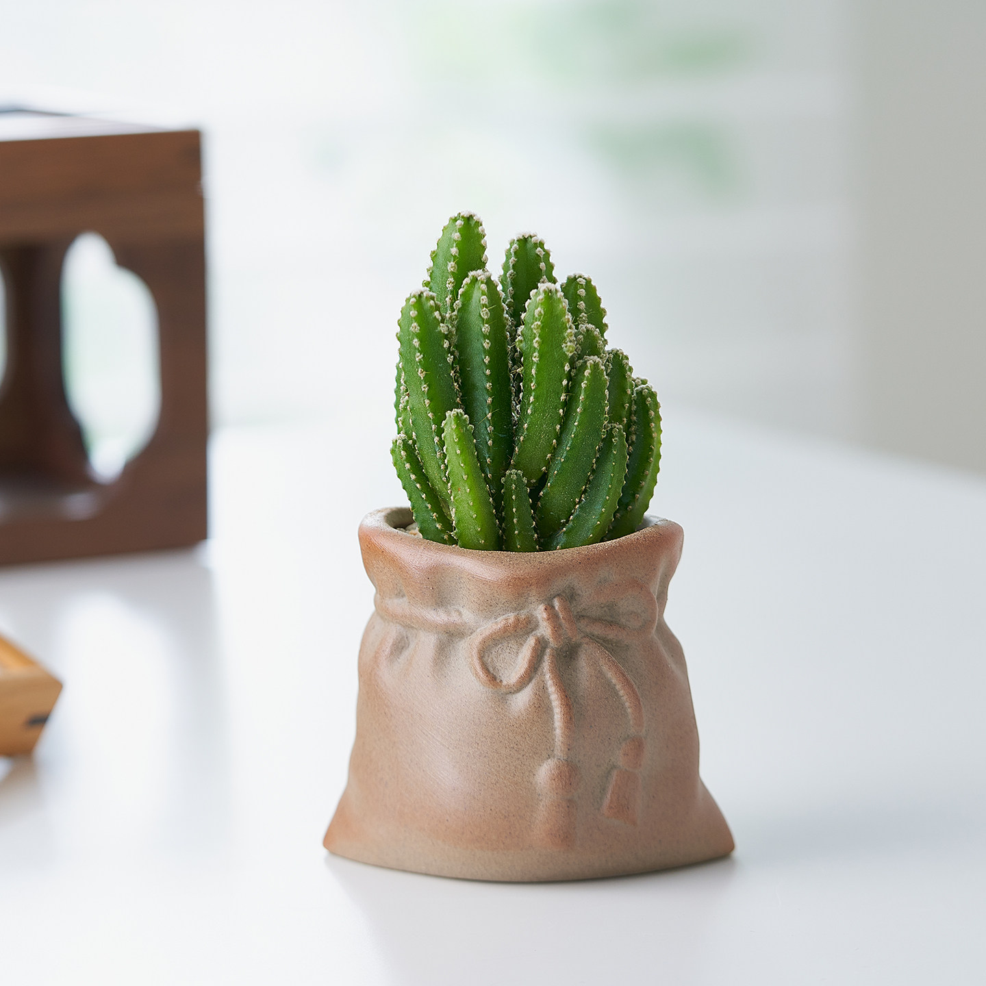 多肉植物组合盆栽北欧风仙人掌室内客厅美观摆件办公室书桌面懒人,淘宝优惠券,粉丝福利购,淘宝优惠卷