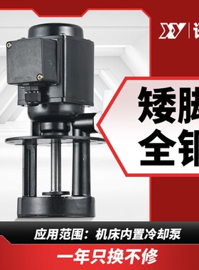 40瓦小型水泵机床冷却泵380车床油泵线切割电泵抽水泵AB-25 DB-12