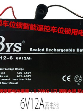 BYS蓄电池 NP12-6 6V12AH地锁车位锁智能遥控车位锁用电瓶