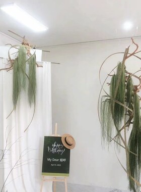 花艺装置b美陈花材水烛叶丝干花花束垂挂型装饰材料大型草月流摆