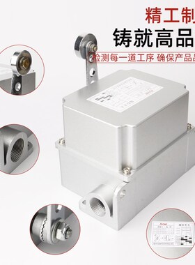行程限位开关DF1-A/B 重负荷限位器 耐高温壳可调转臂滚轮摆杆式
