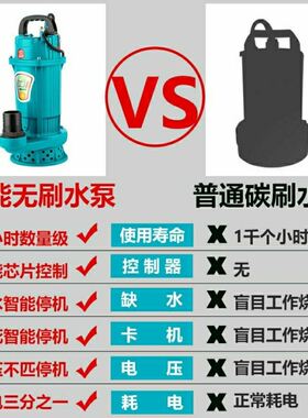 电动车直流潜水泵无刷直流泵电瓶抽水机农用灌溉大流量2.5寸3寸4