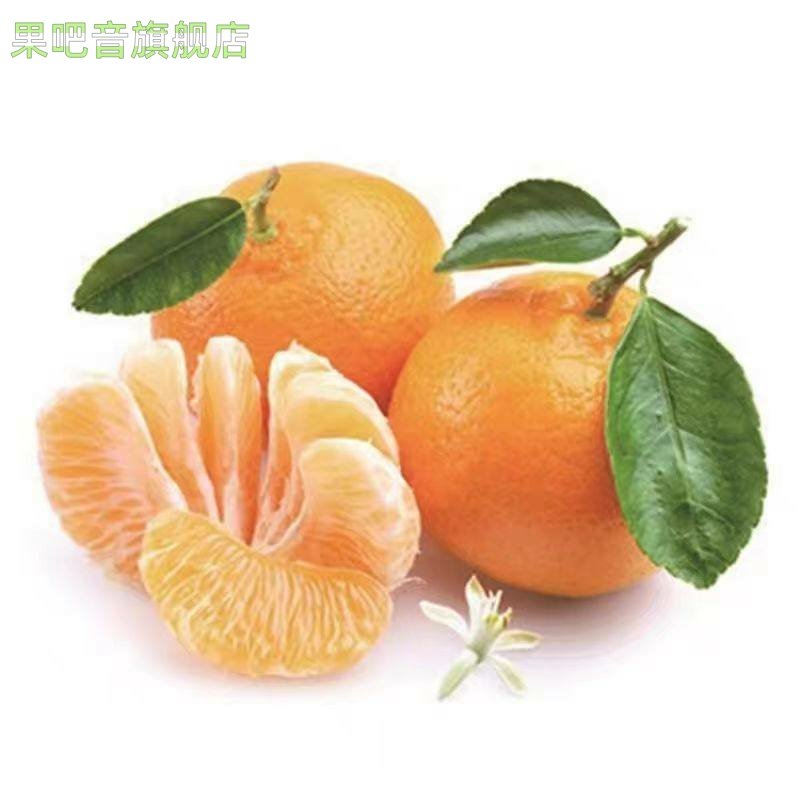 正宗芦柑新鲜椪柑水果当季现摘橘子黄贡柑桔整箱产地福建永春,淘宝优惠券,粉丝福利购,淘宝优惠卷