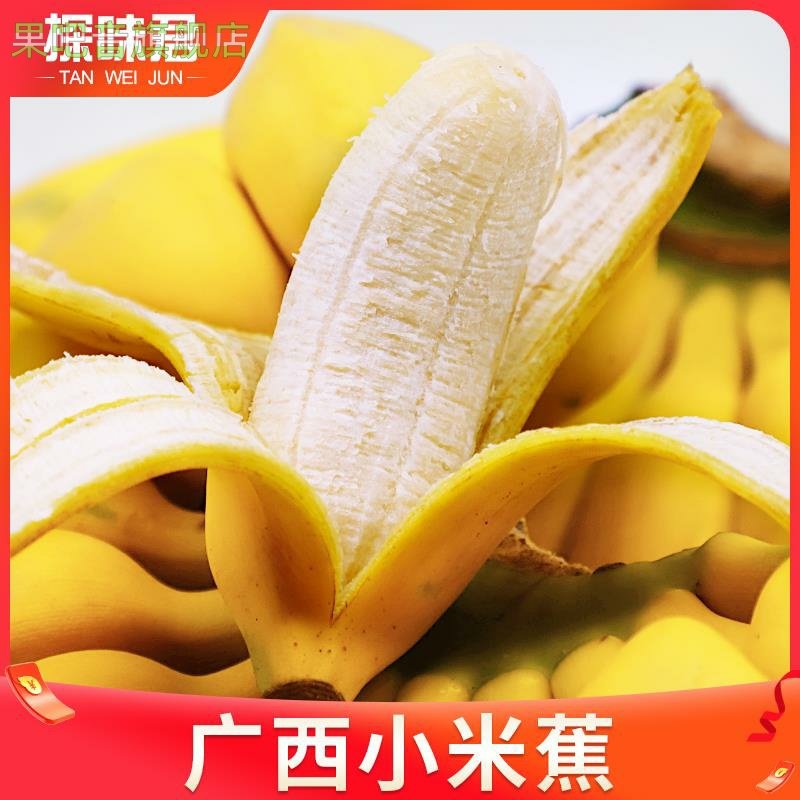 正宗广西小米蕉香蕉10斤当季新鲜水果小香蕉苹果蕉自然熟粉蕉包邮,淘宝优惠券,粉丝福利购,淘宝优惠卷