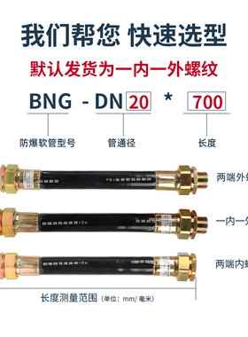 BNG防爆挠性连接线管DN15电缆穿线防暴扰性金属软管4分6分1寸DN25