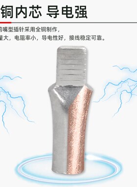 C45鸭嘴型插针 线鼻子铜接头针型冷压端子紫铜镀锡4/6/10-95平方