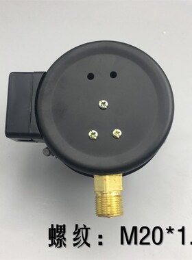 上海天湖YX-100电接点压力表 控制表 直接式10VA 0-1.6AMPA全规格