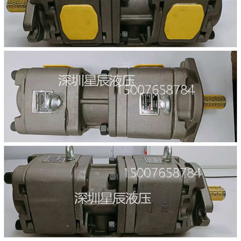HG22-125-125-01R-VPC-P-36伺服油泵CP22-100-100-P-10双联齿轮泵 - 图2