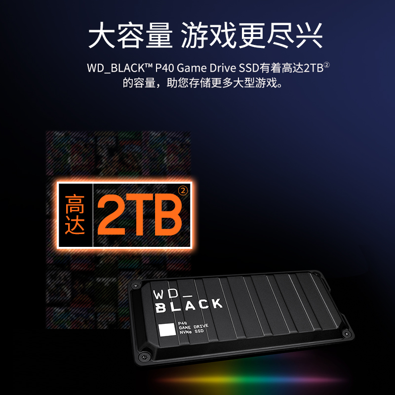 SanDisk WD Western Digital Mobile Solid State Drive P40