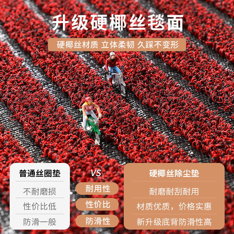 2025新款地垫入户门垫进门门口脚垫玄关大面积满铺门厅大门外地毯,淘宝优惠券,粉丝福利购,淘宝优惠卷