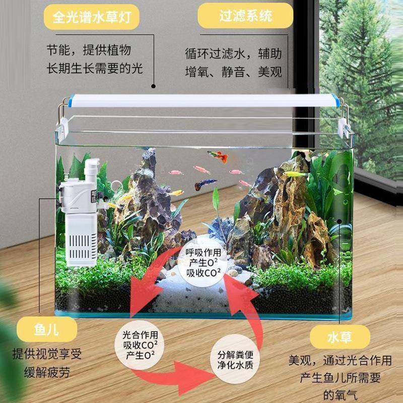 小鱼缸鱼缸水族箱懒人透明热弯客厅阳台家用造景中小型生态桌面,淘宝优惠券,粉丝福利购,淘宝优惠卷