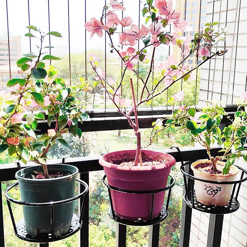 栏杆多肉绿萝花架子室内置物架阳台花架家用铁艺悬挂式花盆挂架,淘宝优惠券,粉丝福利购,淘宝优惠卷