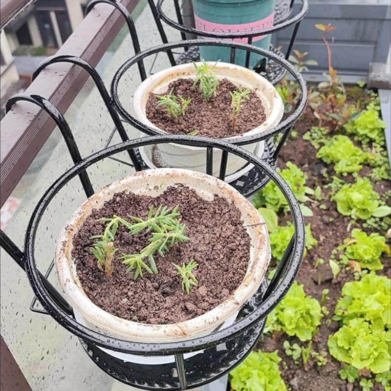 栏杆多肉绿萝花架子室内置物架阳台花架家用铁艺悬挂式花盆挂架,淘宝优惠券,粉丝福利购,淘宝优惠卷