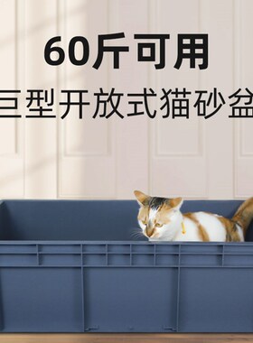 猫砂盆超大号双层缅因猫特大号60斤集装箱平替巨大型全开放40斤
