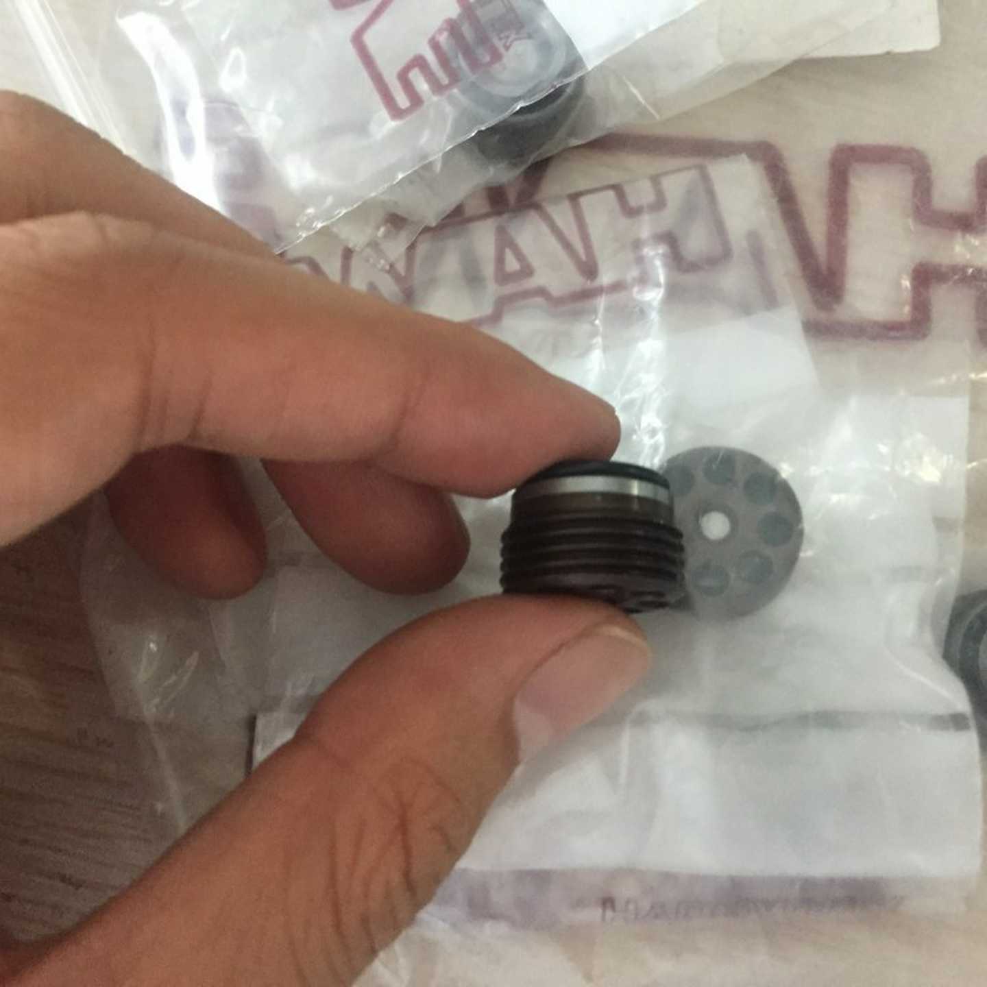 德国HAWE/哈威RB1RB2RB3gRB4RB5RB6RB7单向阀液压 - 图1