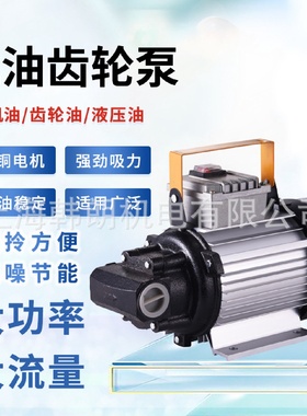 韩朗机油齿轮泵圆弧微型铝合金电动交流抽油泵厂家批发家用液压泵