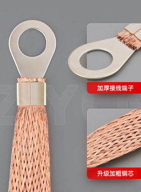 桥架接地线铜编织带镀锡配电箱柜过门跨接软铜线接扁线2.5/6平方