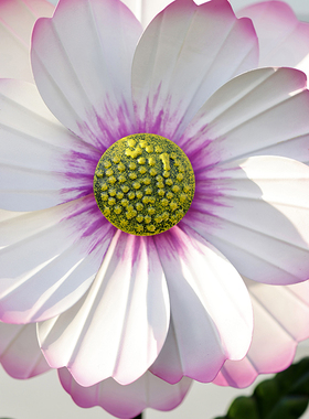 庭院花园景观创意旋转装饰户外铁艺阳台布置院子造景小风车摆件