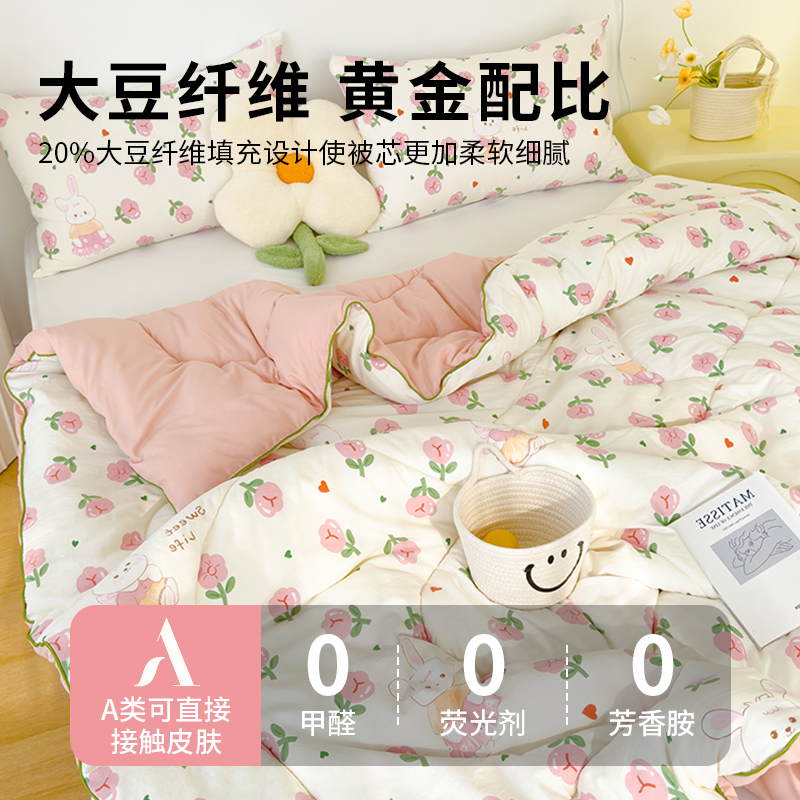 大豆纤维被子被芯加厚冬被宿舍单人冬季保暖春秋被夏凉空调被儿童 - 图2