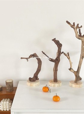 TJJ丨原c木树杈摆件ins冷淡风书架客厅树枝摆设饰品摄影拍摄道具