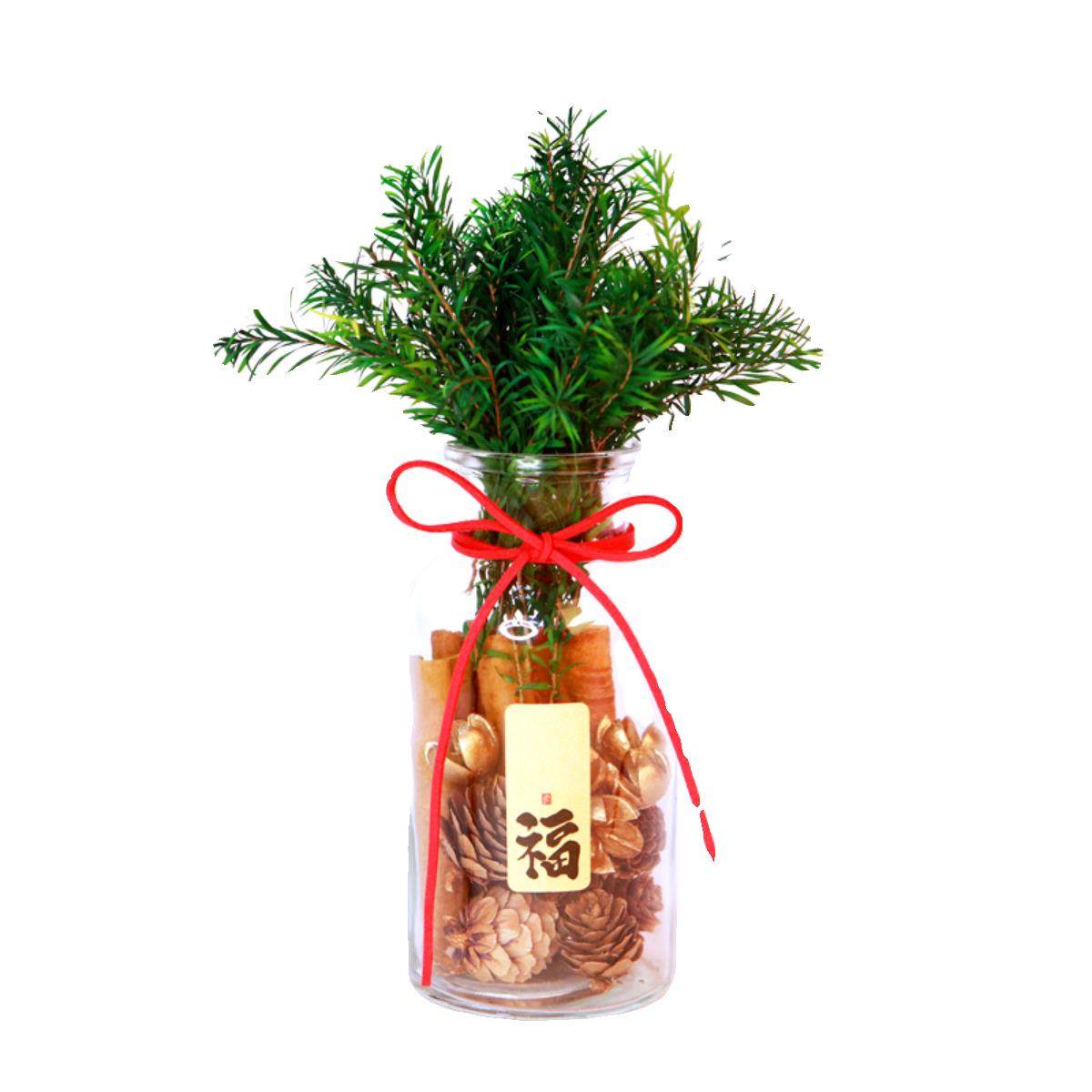 肉桂生财瓶摆件招财花瓶diy玻璃客财厅位乔迁新居搬电视柜办公室,淘宝优惠券,粉丝福利购,淘宝优惠卷