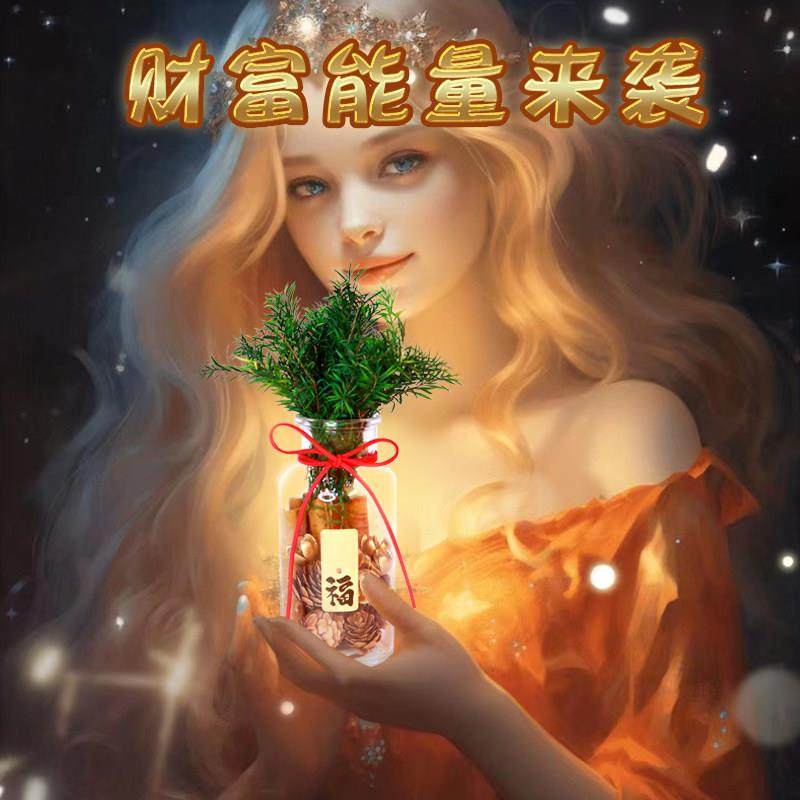 肉桂生财瓶摆件招财花瓶diy玻璃客财厅位乔迁新居搬电视柜办公室,淘宝优惠券,粉丝福利购,淘宝优惠卷
