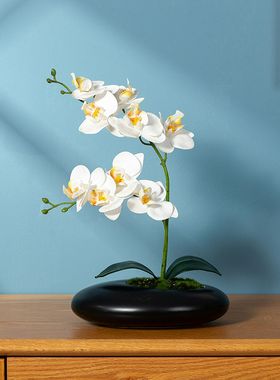 新中式蝴蝶兰梅花彷真花盆栽盆景小摆件酒柜玄关客厅摆设桌面装饰