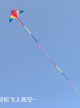 潍坊长尾高档彩虹风筝儿童成人大三角风筝初学者微风好飞易飞