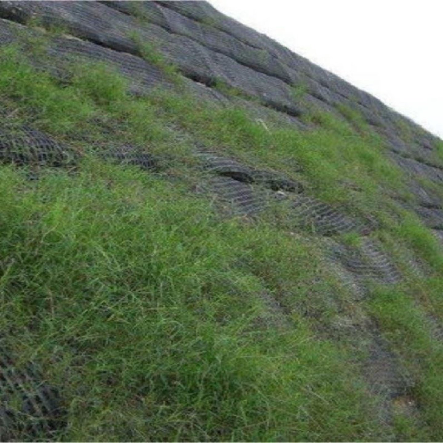 绿色生态袋绿化袋护坡袋pp土工布袋河道护坡植生袋防汛袋无纺布袋,淘宝优惠券,粉丝福利购,淘宝优惠卷