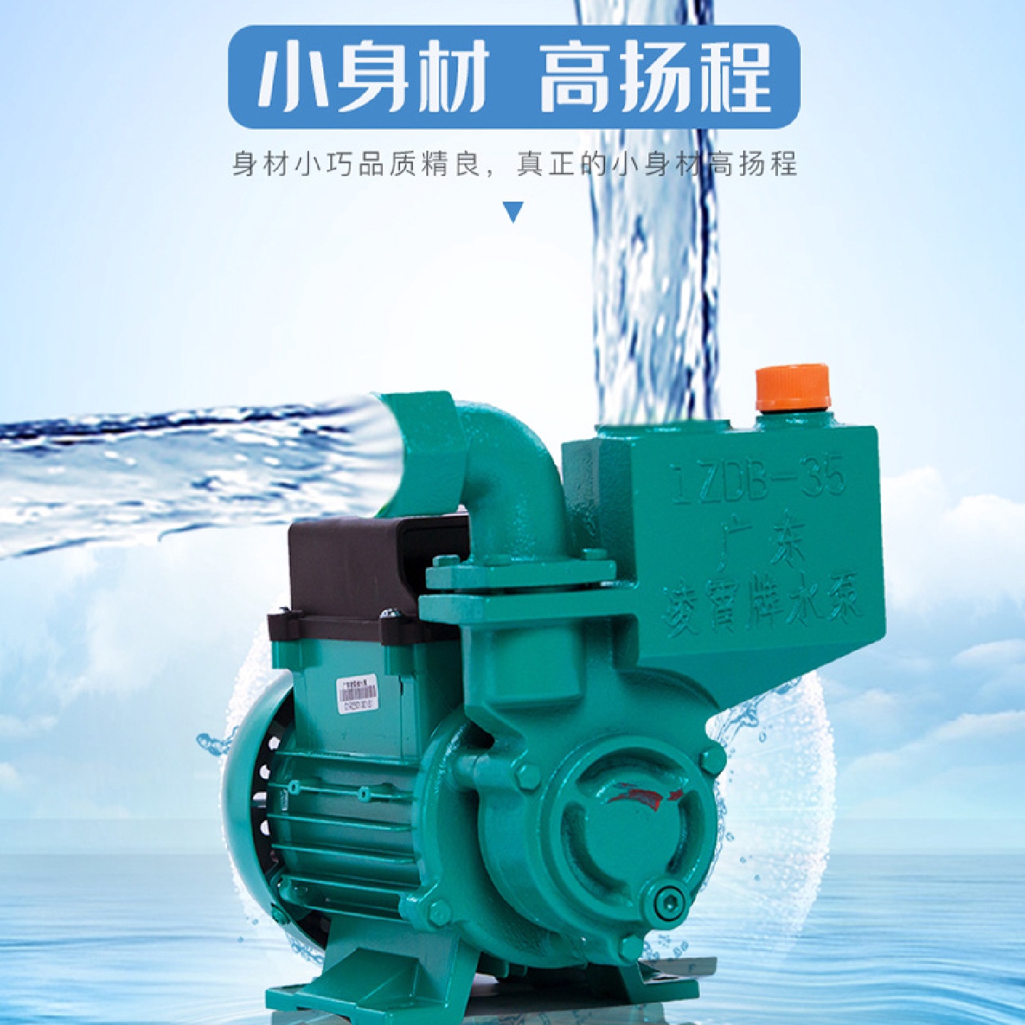广东凌霄水泵1ZDB35家用自来水增压泵高扬程220V抽水机清水自吸泵 - 图0