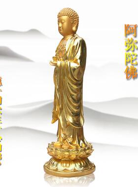 佛寺全金站阿弥陀佛立像如来佛立像家佛立像释迦牟尼佛