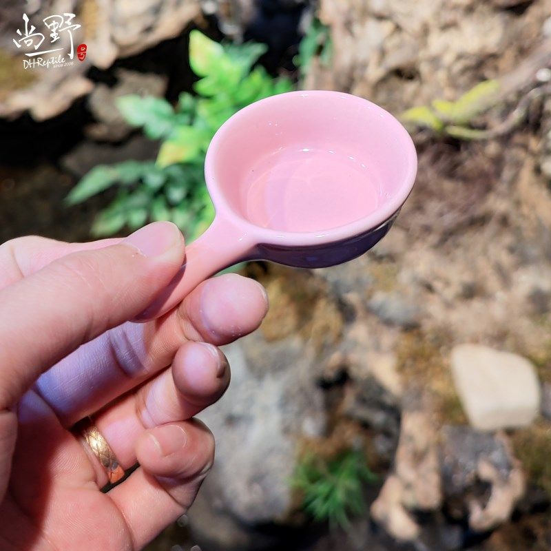 DH睫角守宫R属守宫巨人果泥食盆爬宠拌食陶瓷小碗爬虫喂食搅拌棒,淘宝优惠券,粉丝福利购,淘宝优惠卷
