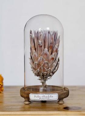 玻璃列罩植物标本SEK干花文艺复古家居摆件书架桌物面陈创意礼科