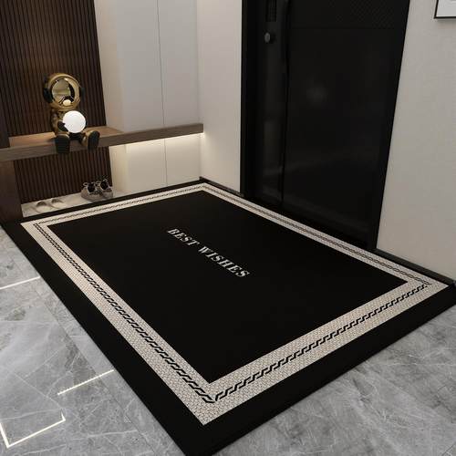 入户门地垫免洗高级家用防滑入户门外脚垫大门口玄关地毯进门门垫 - 图3