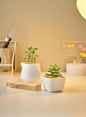 创意琉OEC璃多肉盆栽办公桌装饰摆件室玻璃彷真小绿植客厅面假花