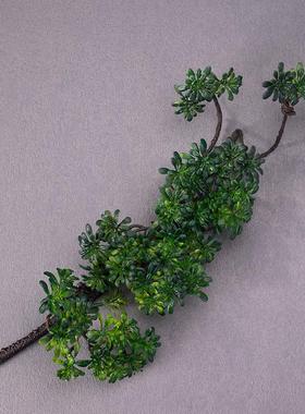 0仿真崖柏树叶中式花艺造型枝条盆景塑料松柏叶仿真树枝带叶松树